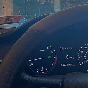 Meet your Posher, Bella